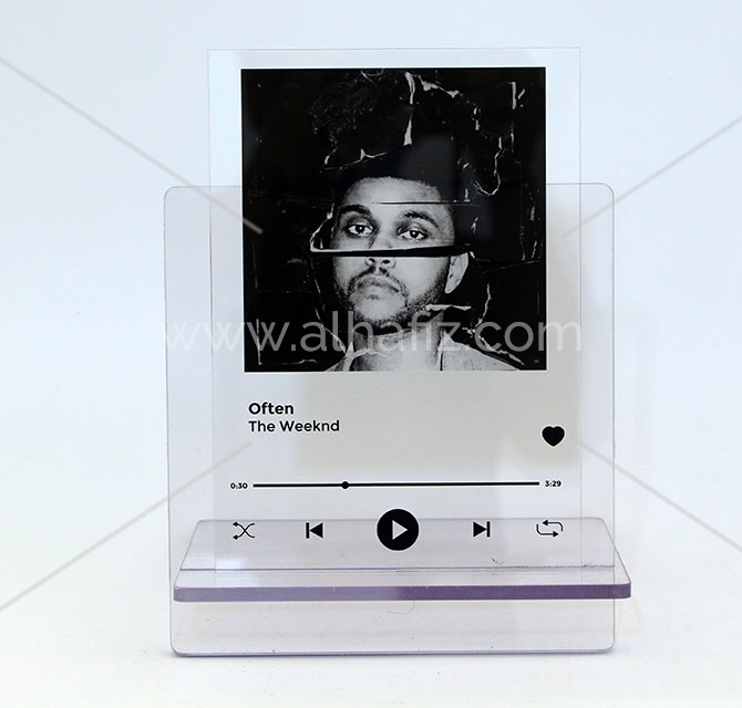 Vlogger Custom Picture Frames 